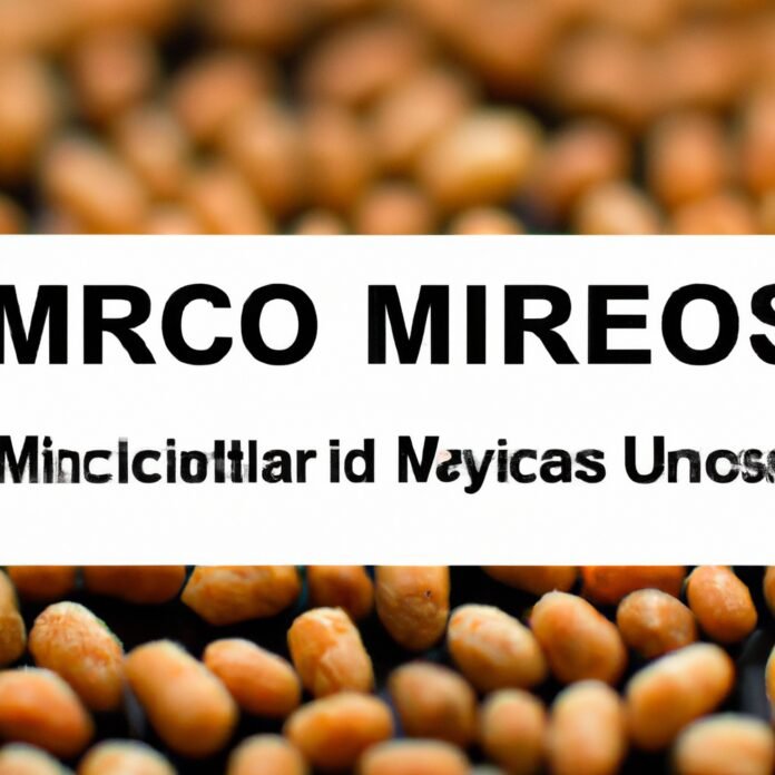 Understanding Macros and Micros: The Basics of Nutrient Intake